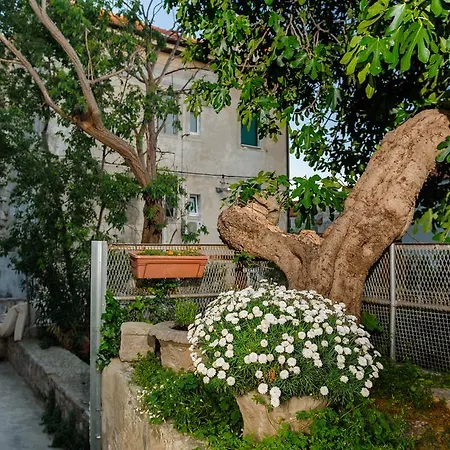 בית הארחה And Nona Stella 3*