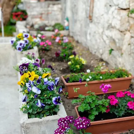 Casa de hóspedes And Nona Stella