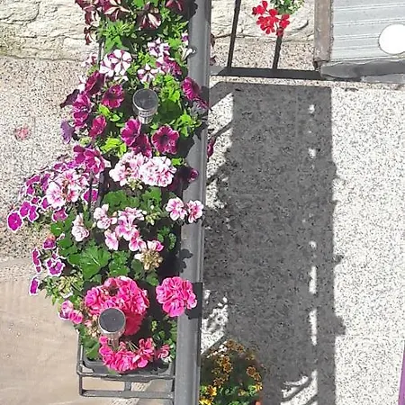 And Nona Stella Casa de hóspedes