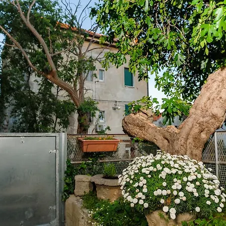 And Nona Stella Maison d'hôtes 3*